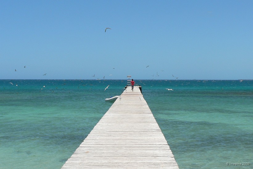 95- Bastien court vers les oiseaux sur le wharf.JPG
